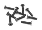 Xray Hex Screw Sfh M3X14  (10)